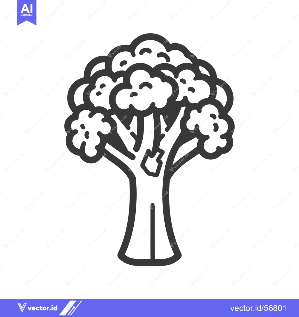 Premium Vector of Line Drawing of a Single Head of Broccoli