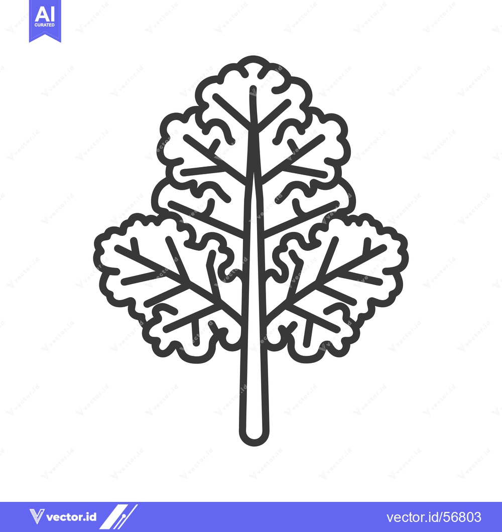 Premium Vector dari Line Drawing of a Single Kale Leaf