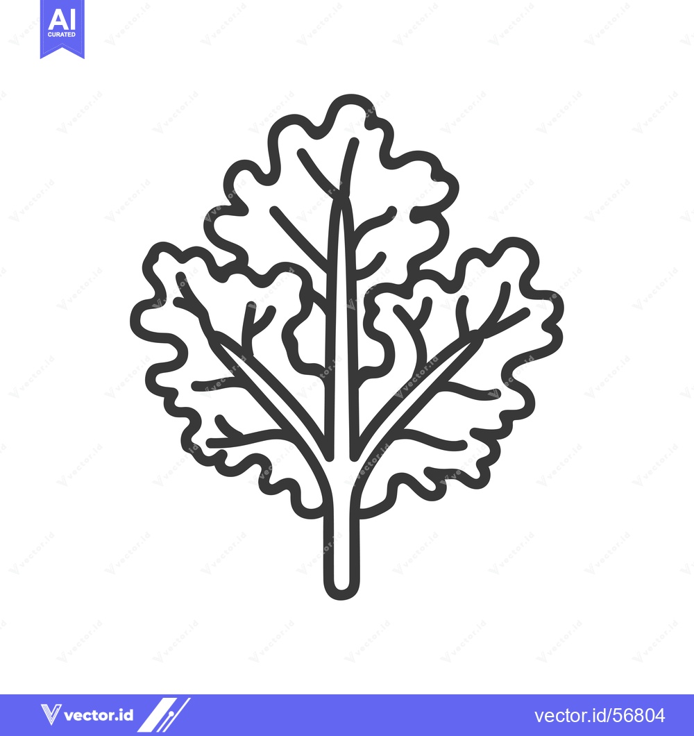 Premium Vector of Line Drawing of a Single Leaf of Kale