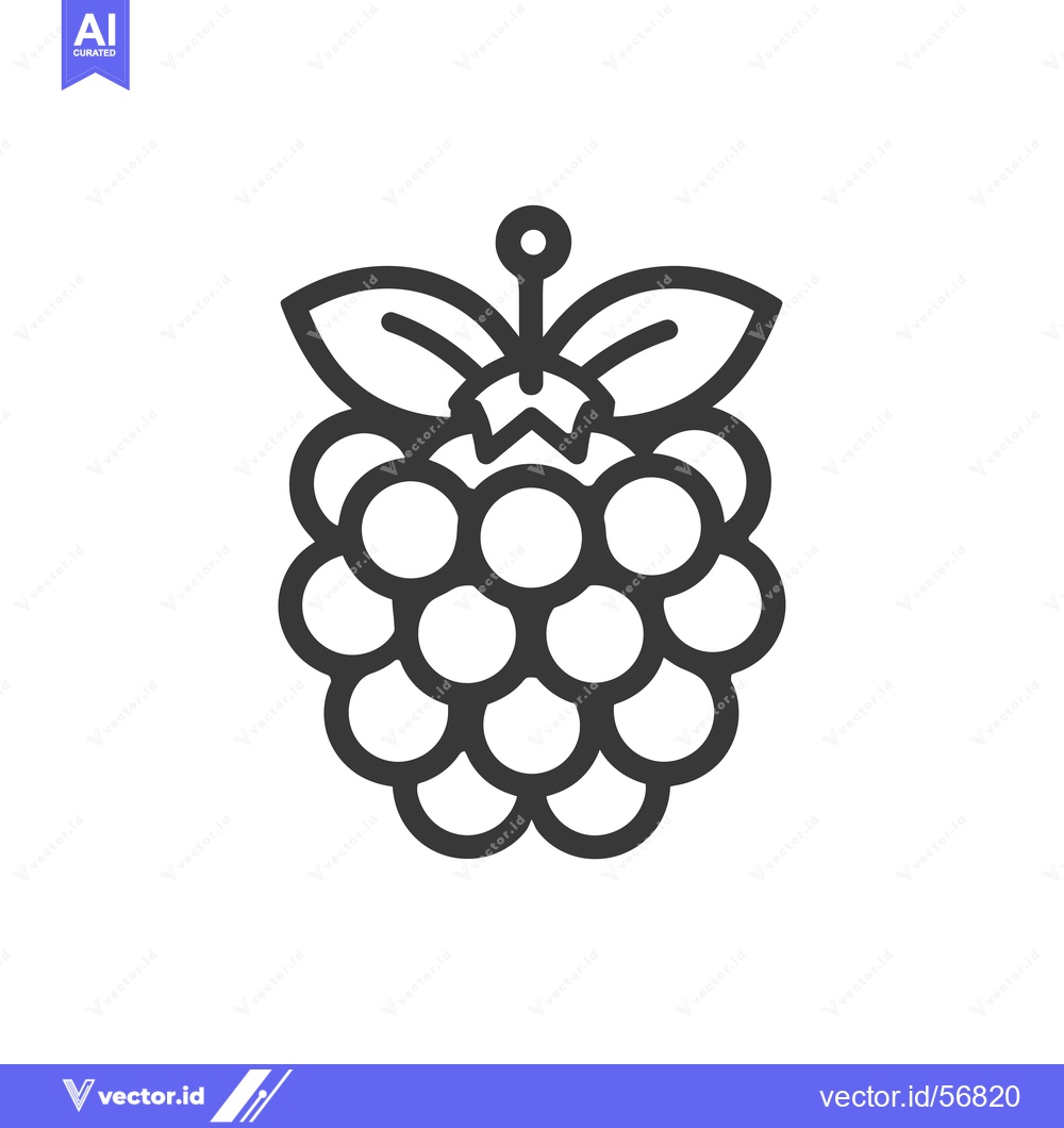 Premium Vector dari Line drawing of a single raspberry with leaves