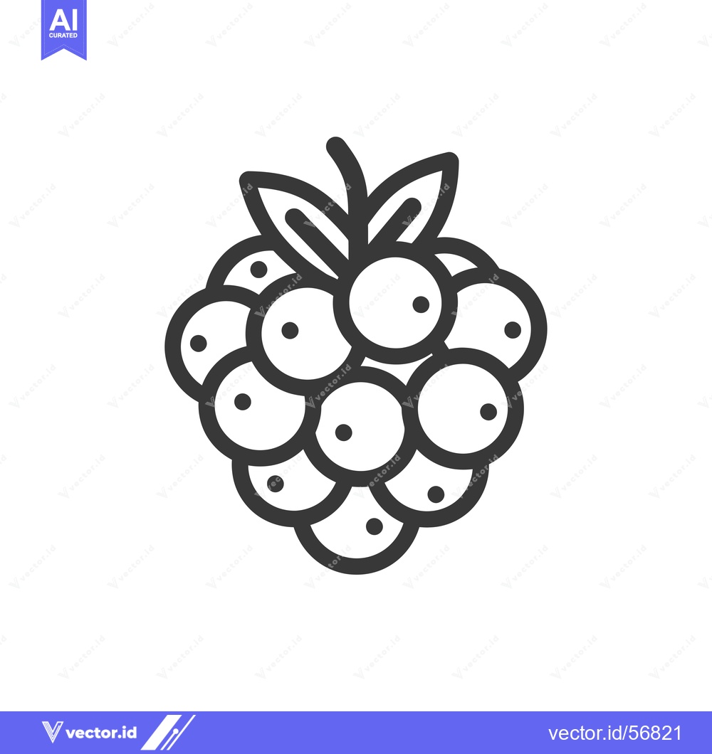 Premium Vector dari Line Drawing of a Single Raspberry with Leaves