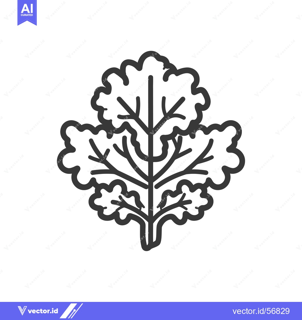 Premium Vector dari Line drawing of a single sprig of cilantro