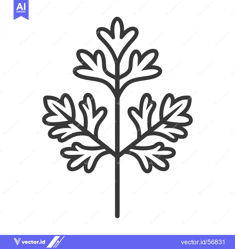 Premium Vector of Line Drawing of a Single Sprig of Parsley