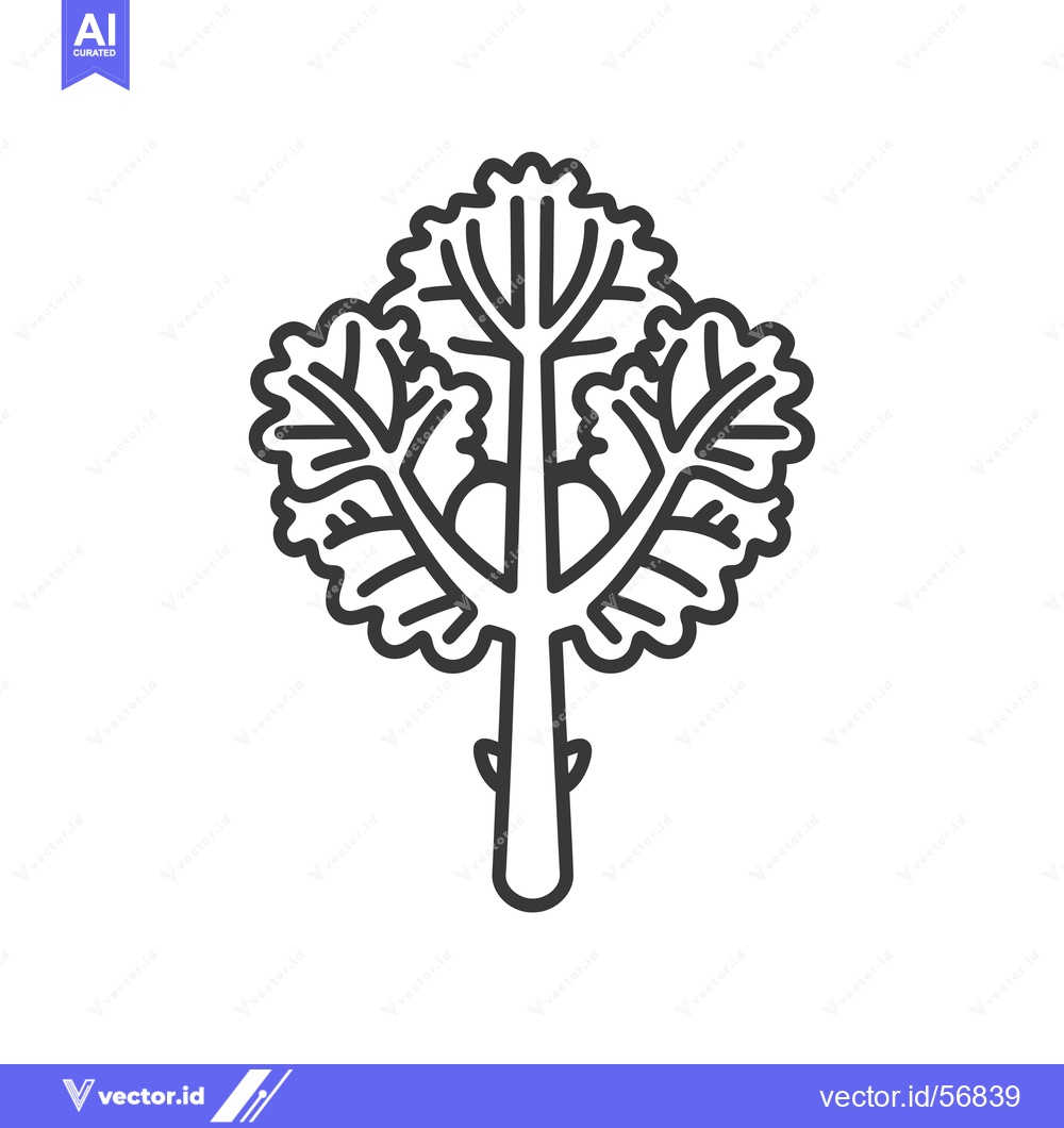 Premium Vector dari Line drawing of a single stalk of kale with leaves