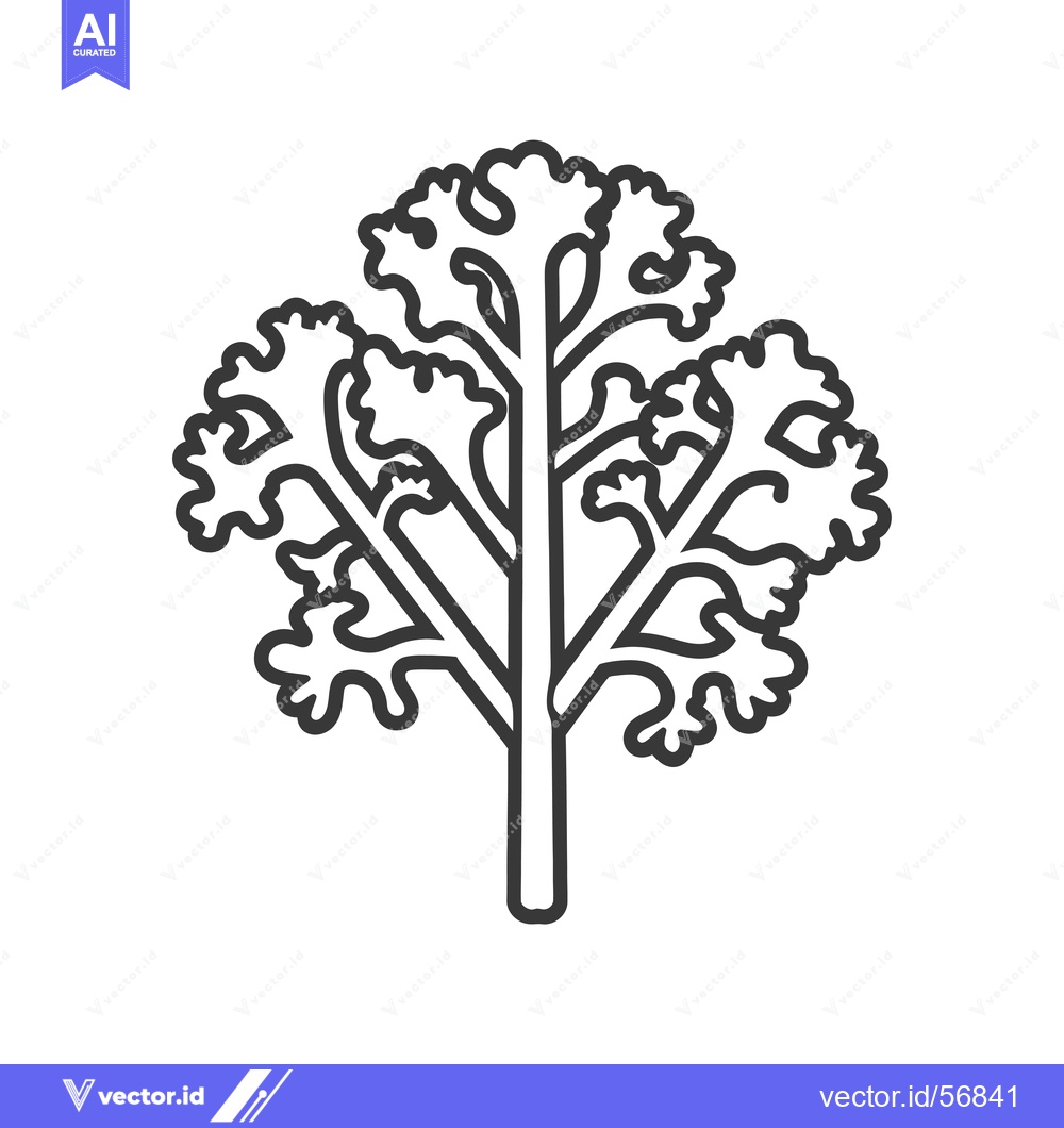 Premium Vector of Line Drawing of a Single Stem of Parsley