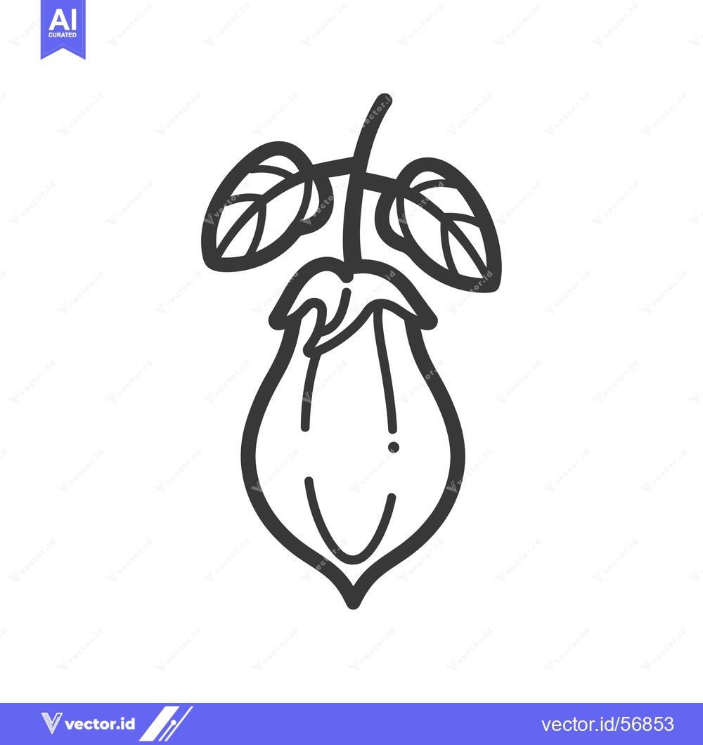 Premium Vector of Line drawing of a single, whole, unpeeled hazelnut