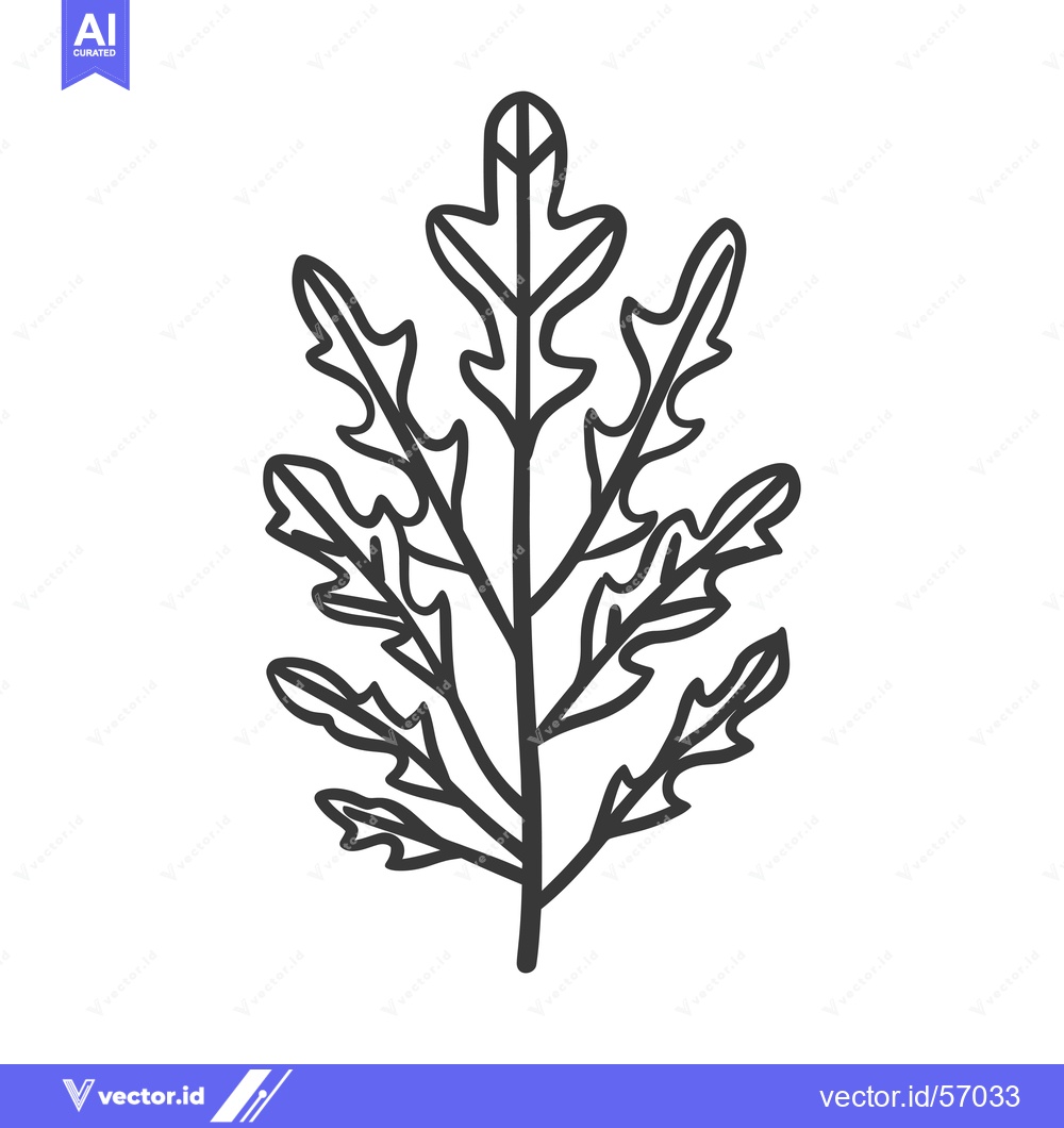 Premium Vector of Line Drawing of a Sprig of Arugula