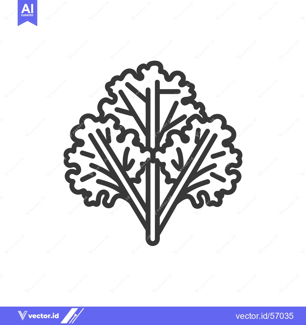 Premium Vector of Line drawing of a sprig of cilantro or coriander
