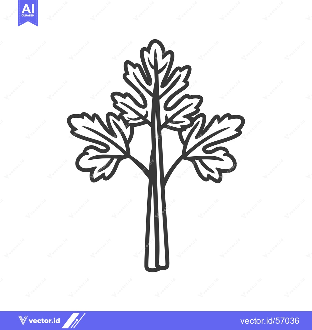 Premium Vector of Line Drawing of a Sprig of Parsley
