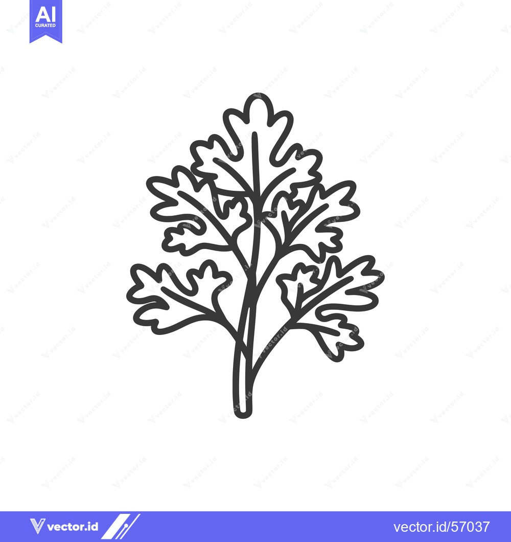 Premium Vector dari Line Drawing of a Sprig of Parsley