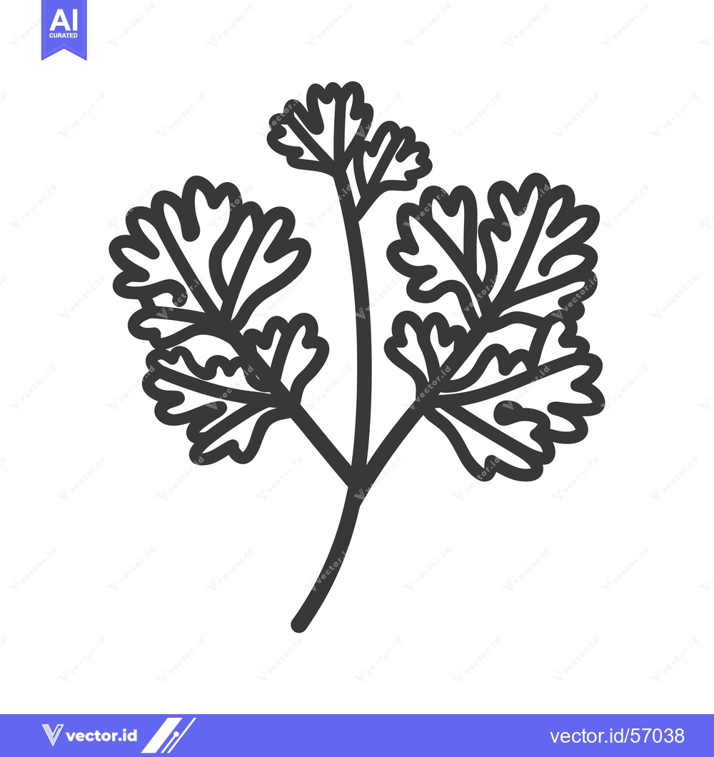 Premium Vector dari Line Drawing of a Sprig of Parsley
