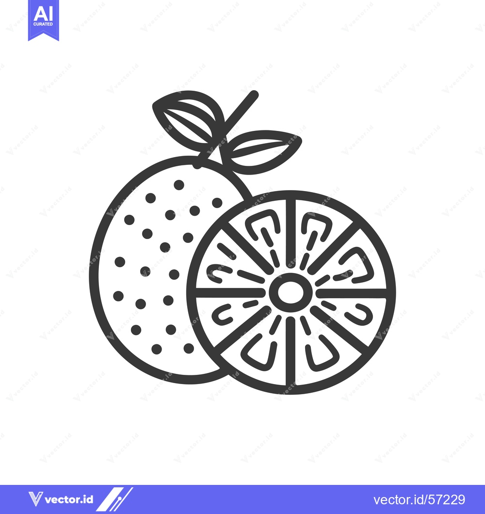 Premium Vector dari Line Drawing of a Whole and Sliced Orange Fruit