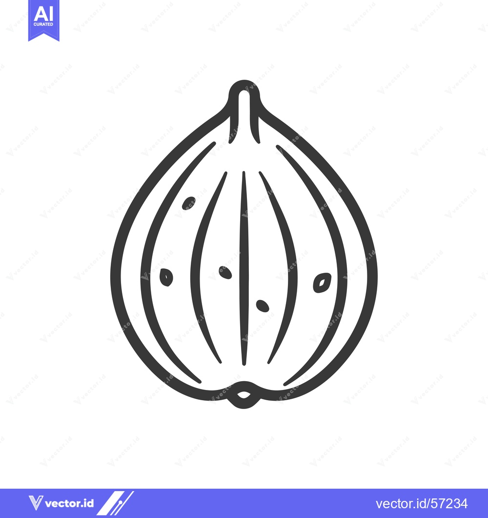 Premium Vector of Line Drawing of a Whole Onion