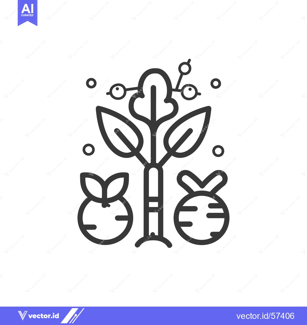 Premium Vector dari Line Drawing of Beet Plant with Two Beets