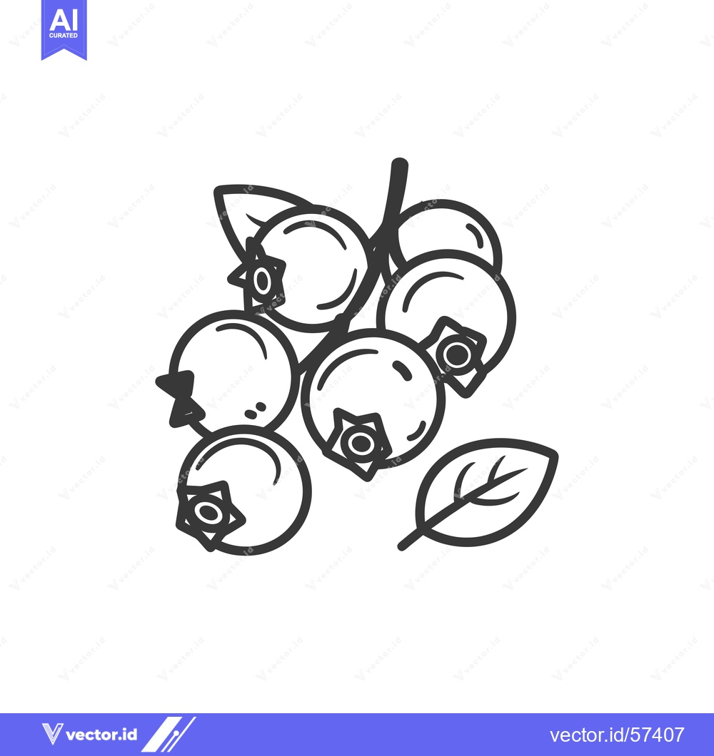 Premium Vector dari Line Drawing of Blueberries on a Stem