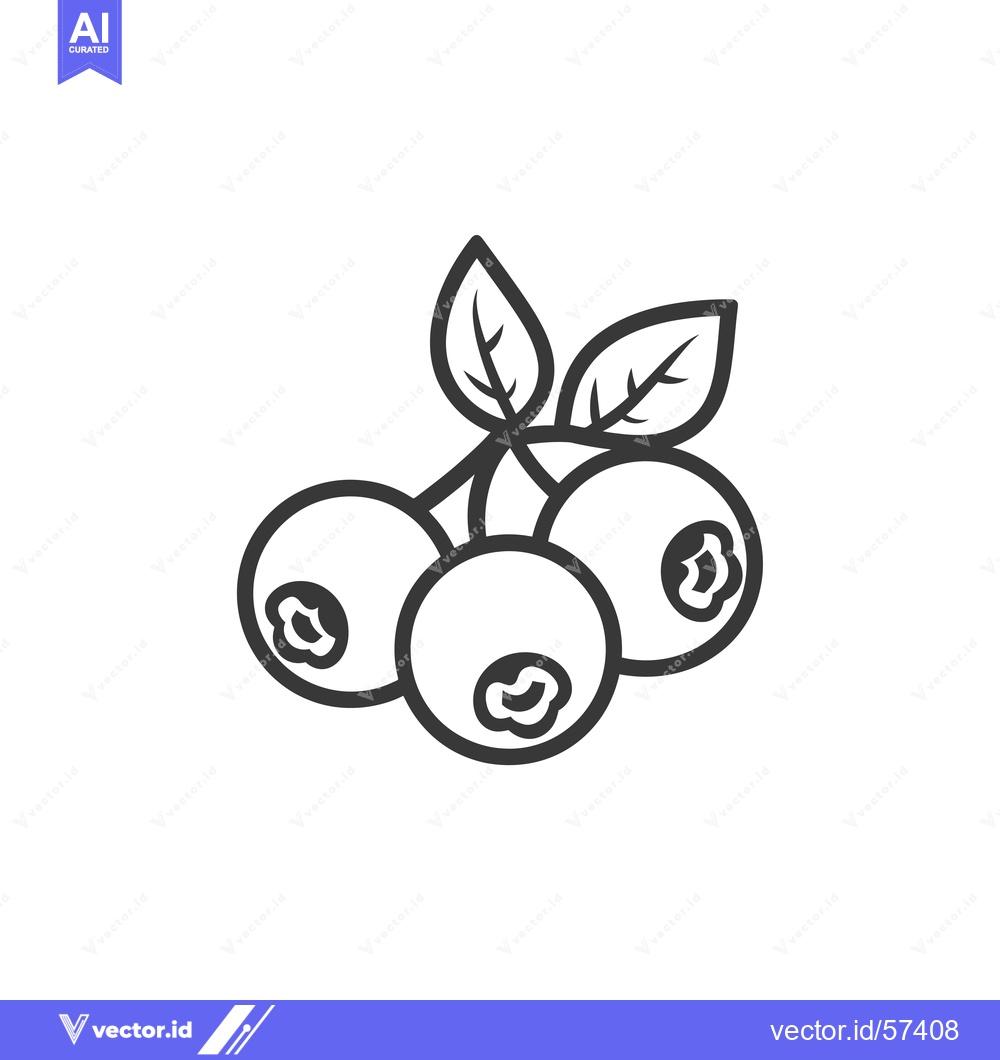 Premium Vector dari Line drawing of blueberries with leaves