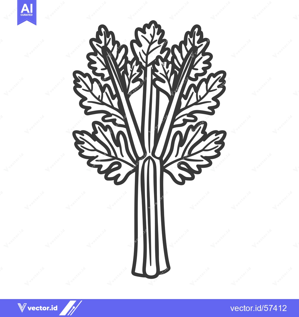 Premium Vector dari Line drawing of celery stalks with leaves