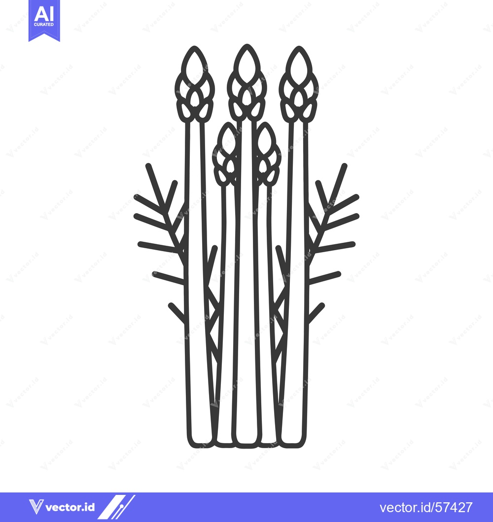Premium Vector dari Line Drawing of Four Asparagus Spears with Leaf Tips