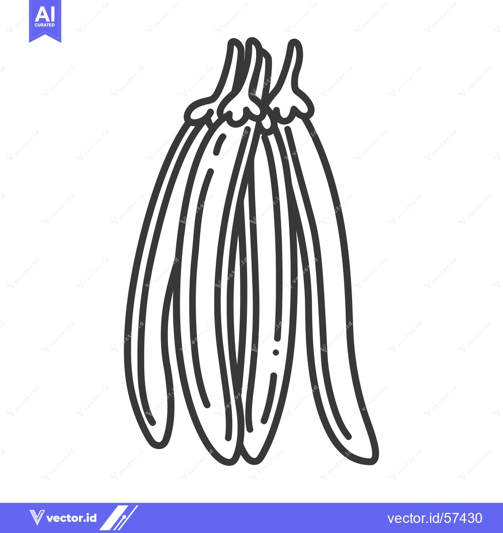 Premium Vector of Line Drawing of Four Vanilla Beans