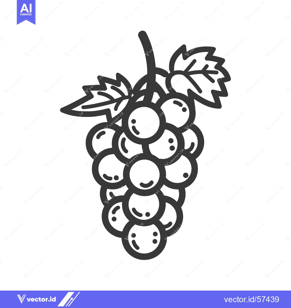 Premium Vector dari Line Drawing of Grapes with Leaf Stem