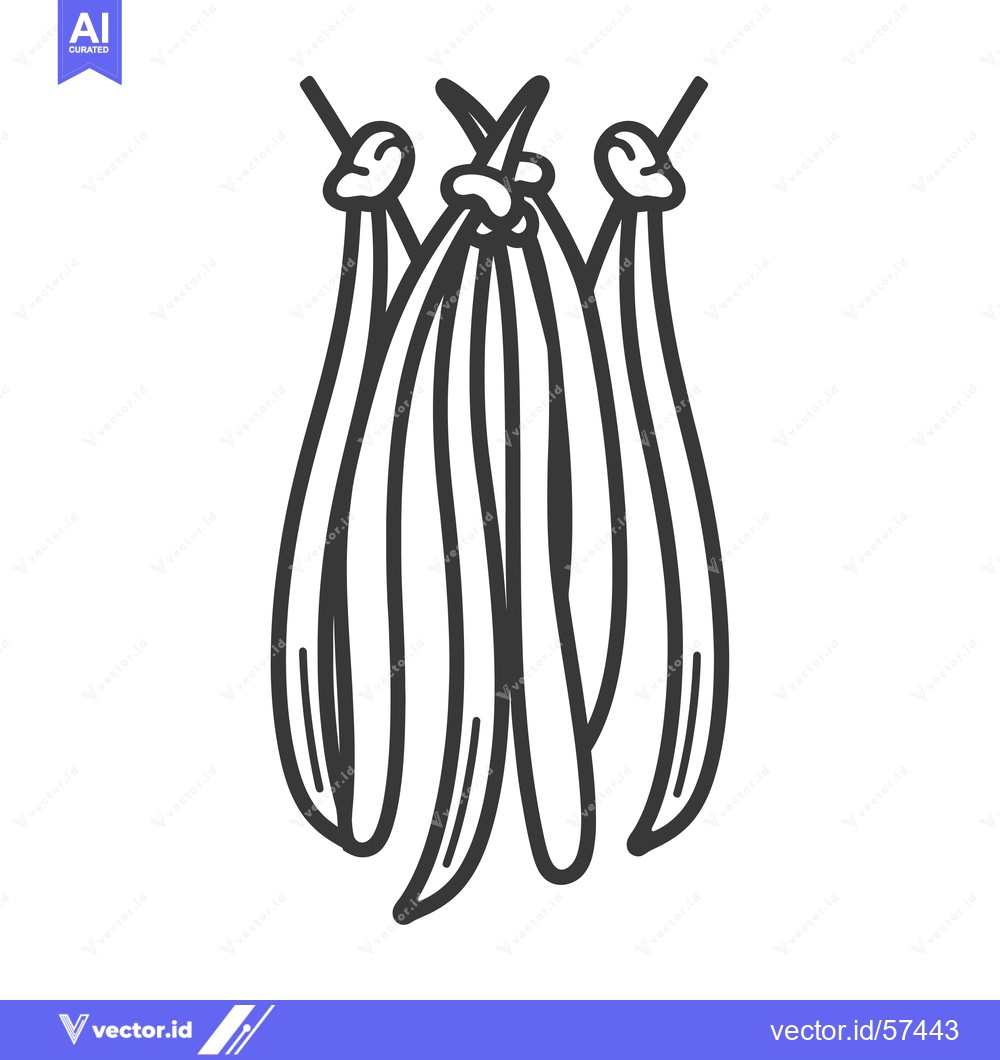 Premium Vector dari Line Drawing of Hanging Vanilla Beans