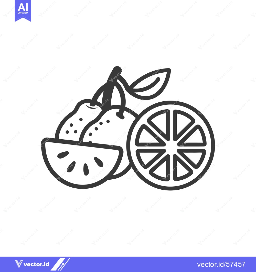 Premium Vector of Line Drawing of Oranges and an Orange Slice