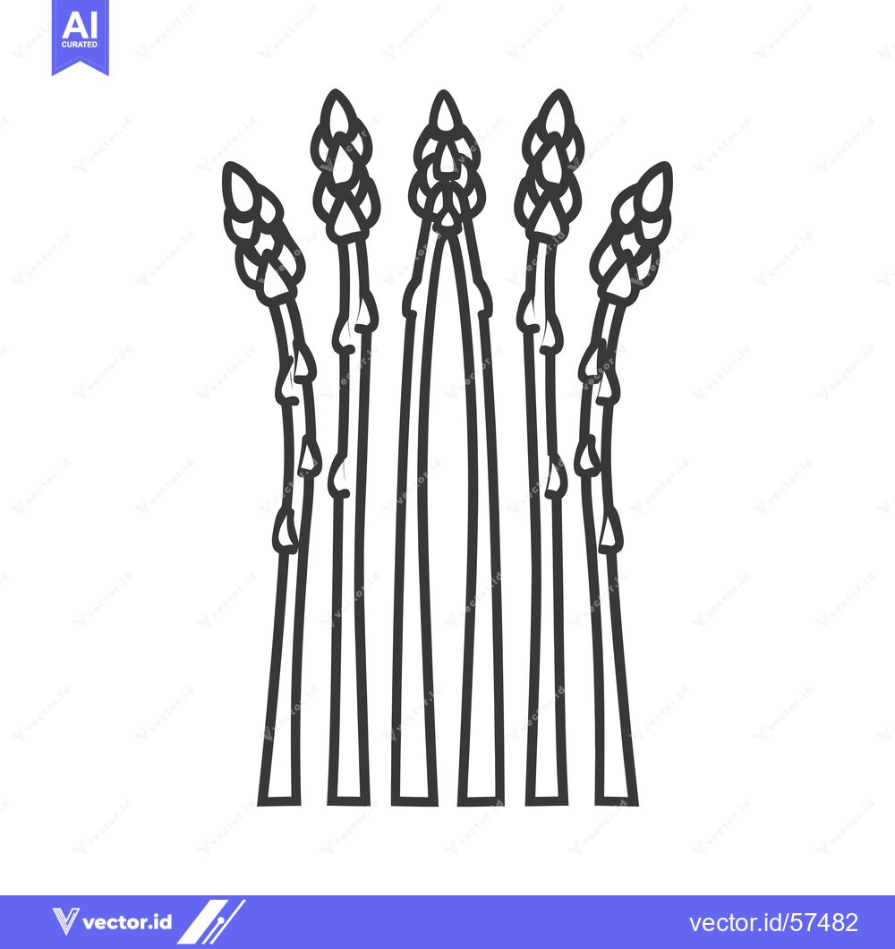 Premium Vector of Line drawing of six asparagus spears