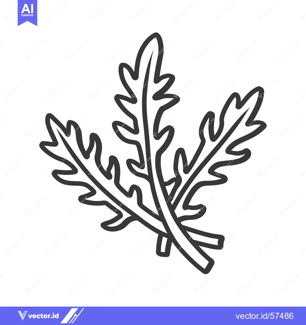 Premium Vector of Line Drawing of Three Arugula Leaves