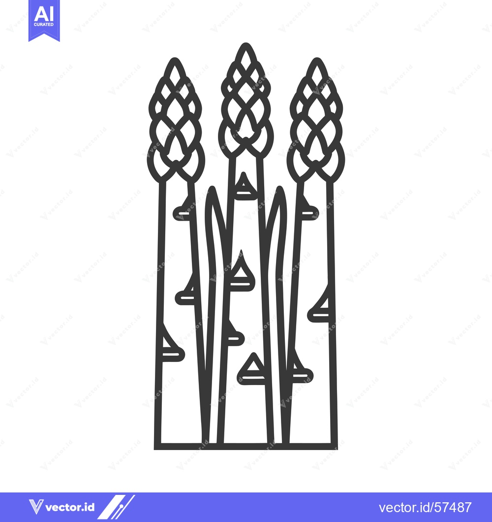 Premium Vector dari Line drawing of three asparagus spears