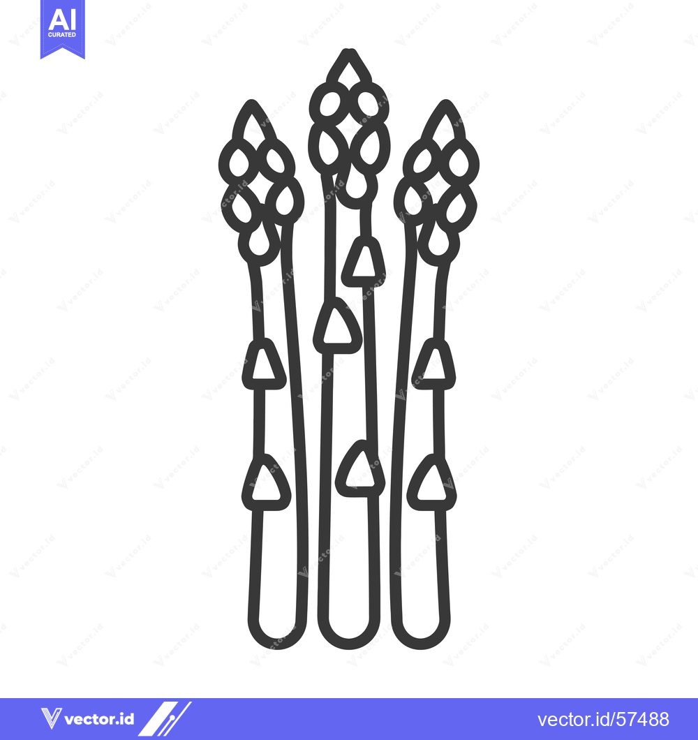 Premium Vector of Line Drawing of Three Asparagus Spears