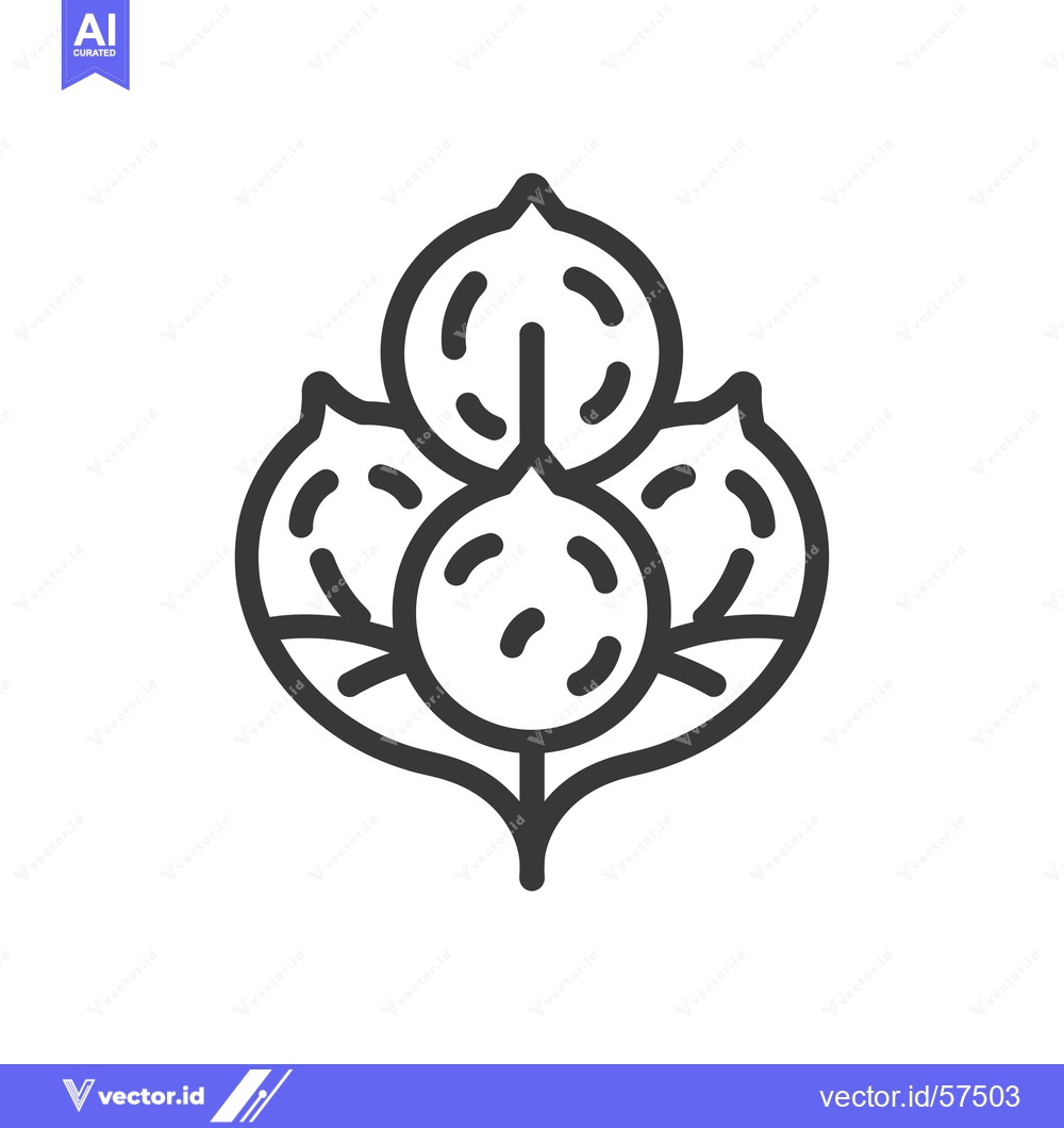 Premium Vector of Line Drawing of Three Cotton Bolls on a Stem