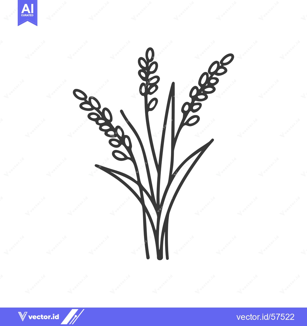 Premium Vector of Line Drawing of Three Rice Stalks with Grains