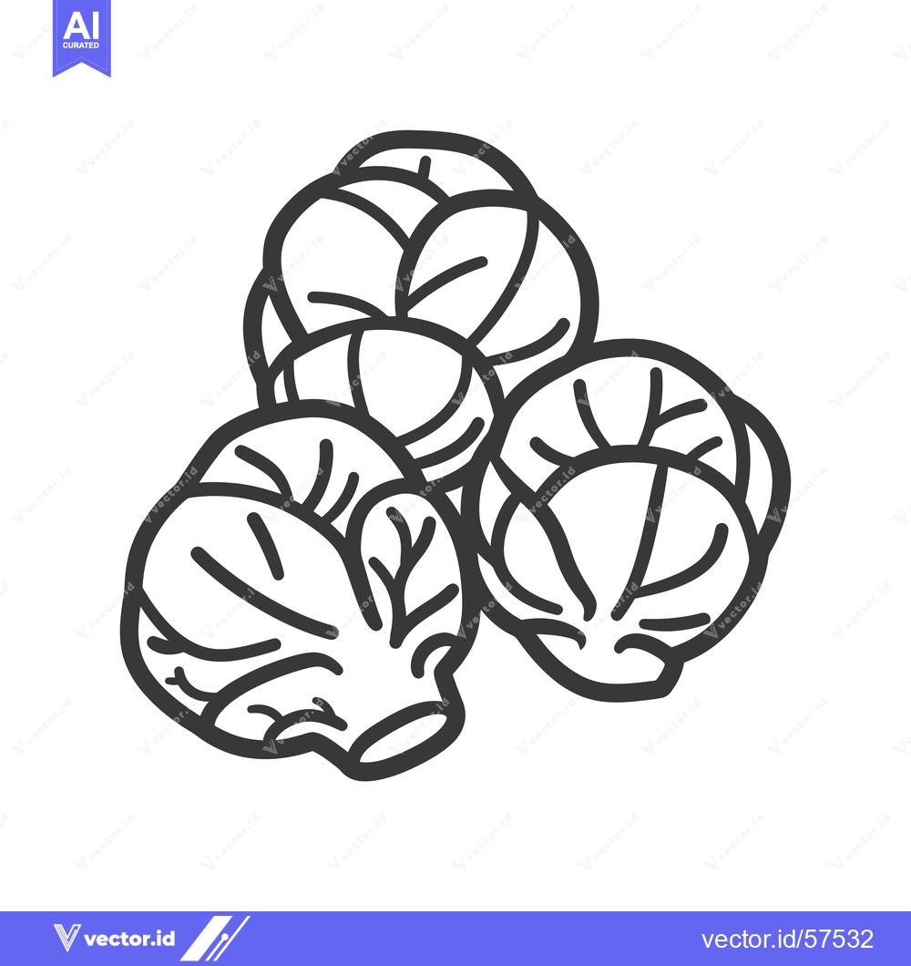 Premium Vector dari Line Drawing of Three Whole Brussels Sprouts