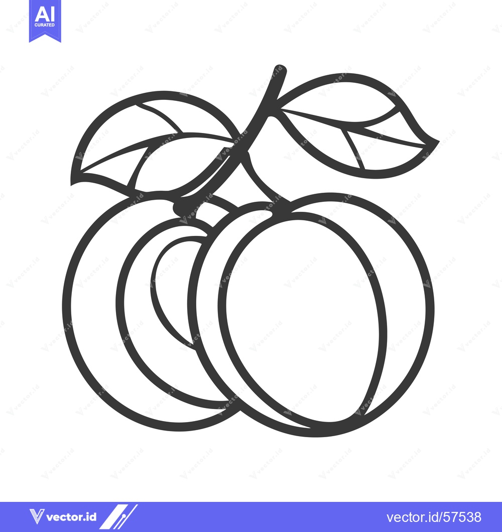 Premium Vector dari Line Drawing of Two Apricots with a Leaf