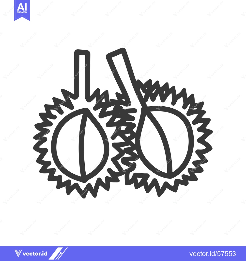 Premium Vector of Line drawing of two durian fruits