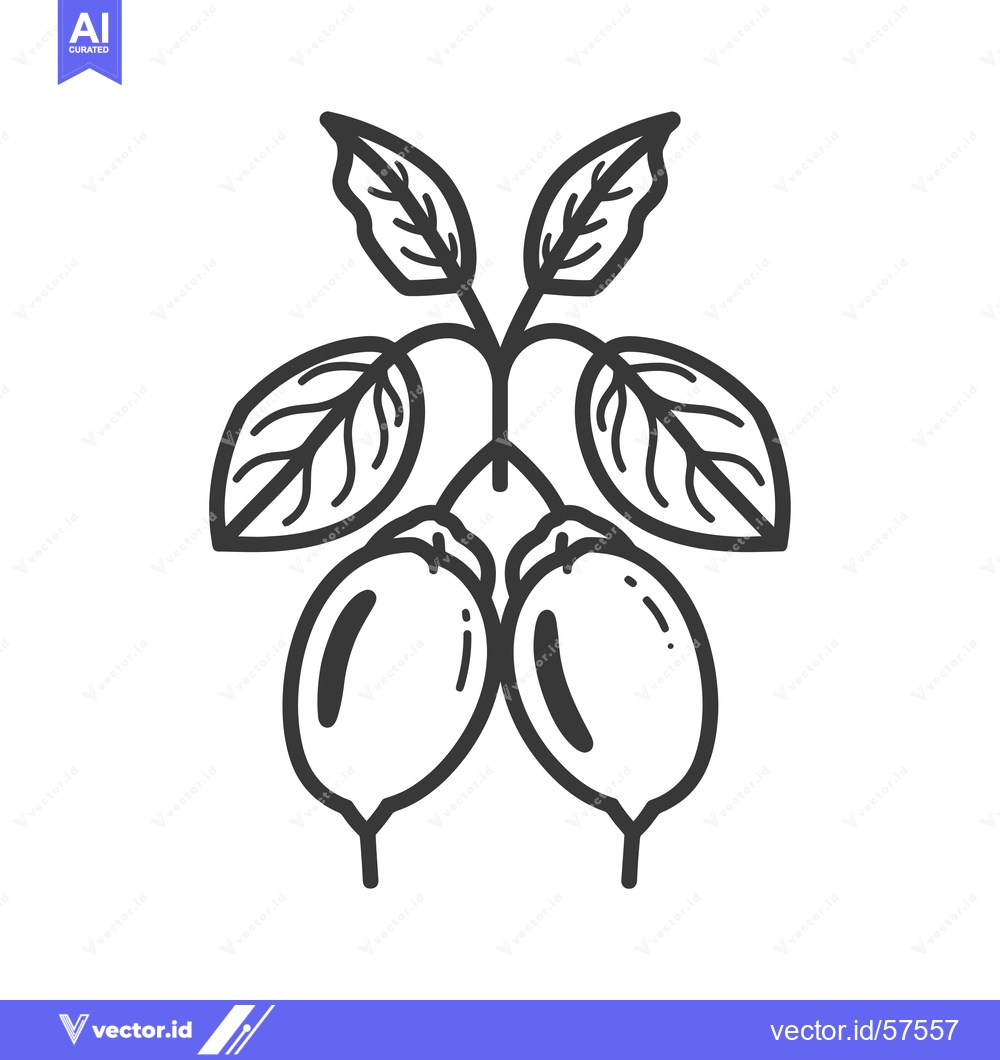Premium Vector dari Line Drawing of Two Fruits with Leaves on a Branch