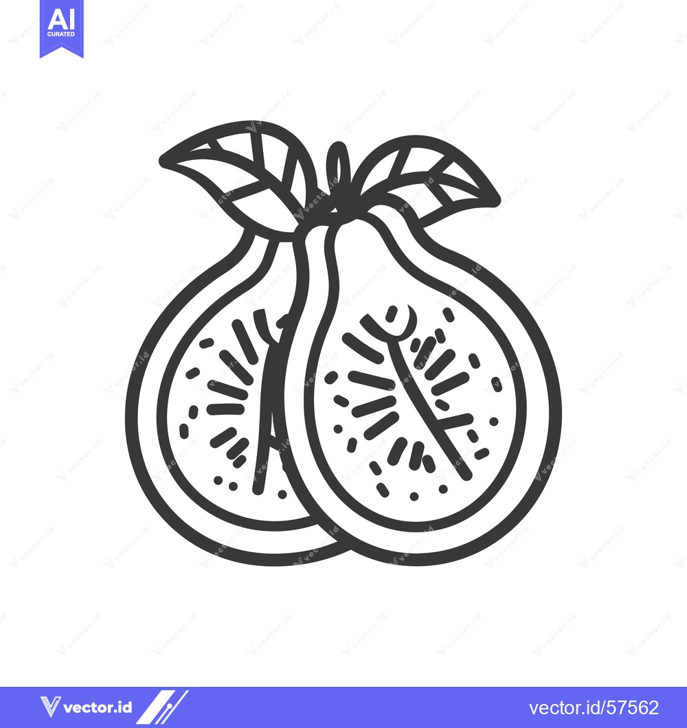 Premium Vector dari Line Drawing of Two Halved Figs with Leaves