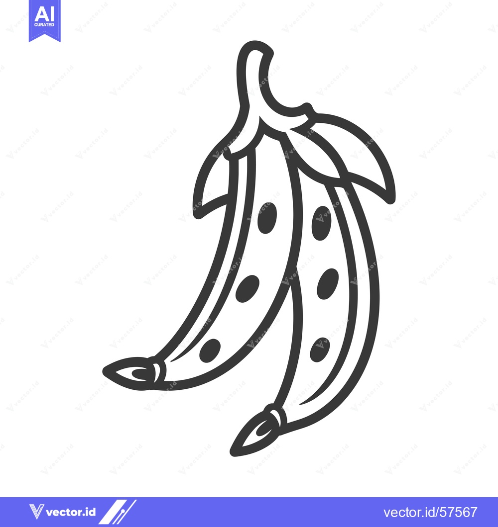 Premium Vector dari Line drawing of two open pea pods