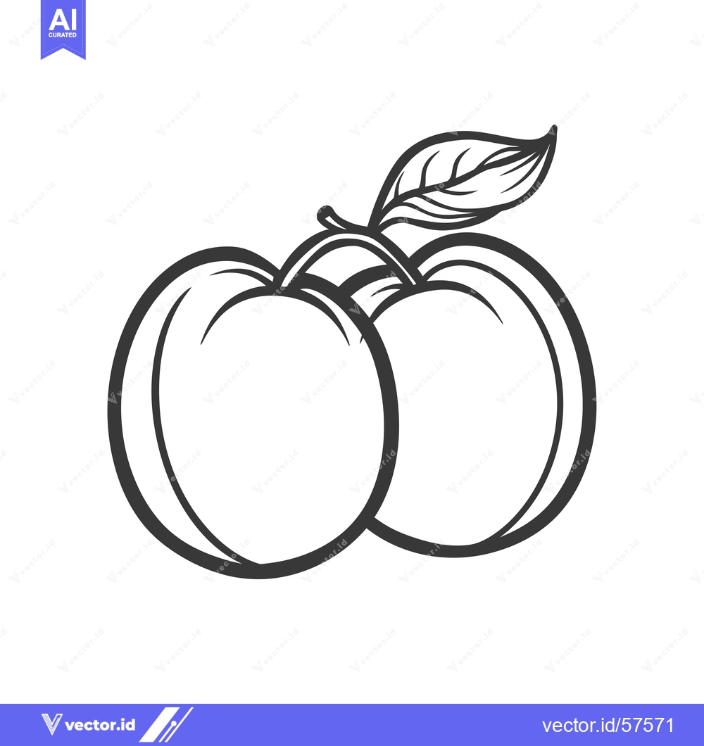 Premium Vector dari Line drawing of two peaches with a leaf