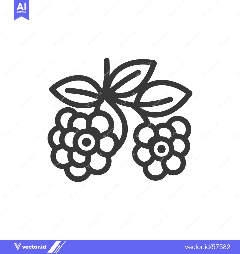 Premium Vector dari Line drawing of two raspberries on a stem with leaves