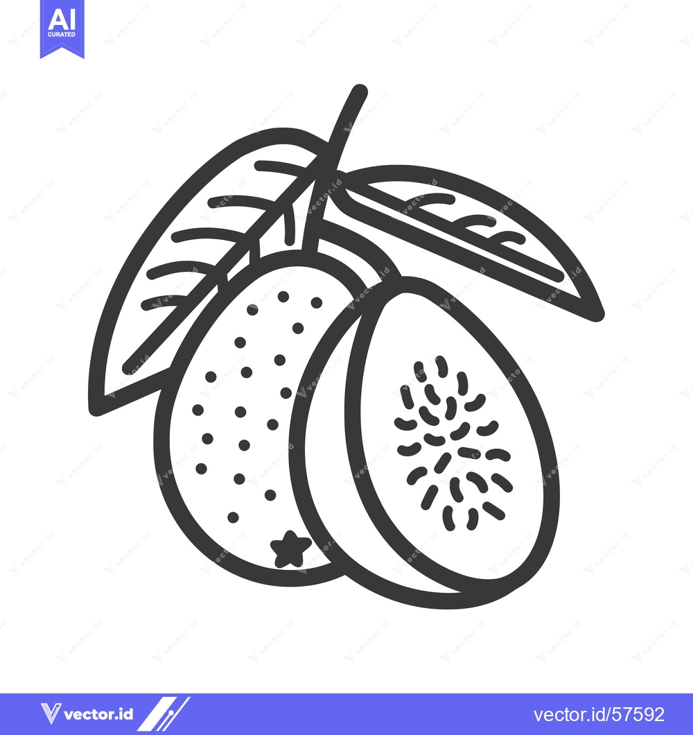Premium Vector of Line Drawing of Two Whole Kiwis and a Kiwi Slice with a Leaf