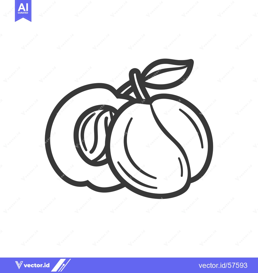 Premium Vector dari Line Drawing of Two Whole Plums and One Half Plum