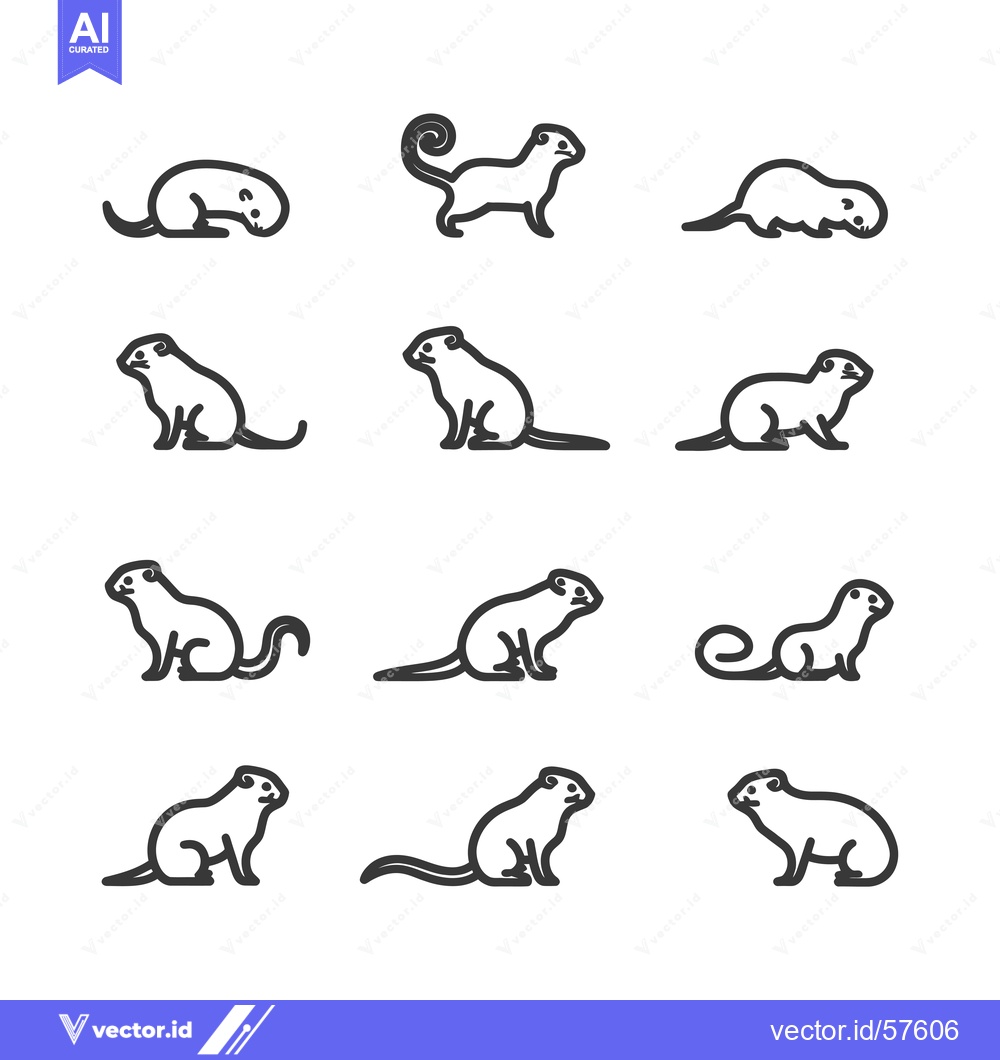 Premium Vector dari Line Drawings of a Ferret in Various Poses