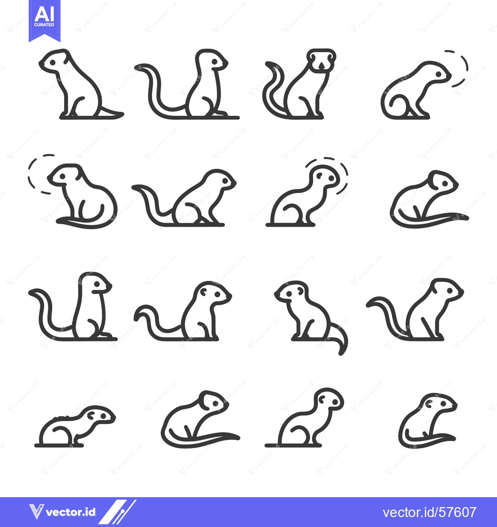 Premium Vector dari Line Drawings of a Ferret in Various Poses