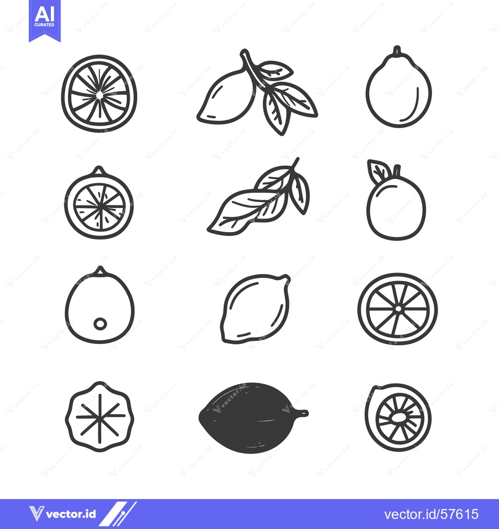 Premium Vector of Line Drawings of Citrus Fruits, Leaves, and Slices