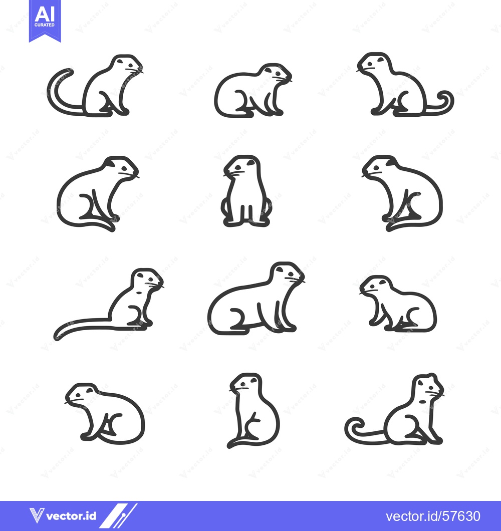 Premium Vector of Line Drawings of Ferrets in Various Poses