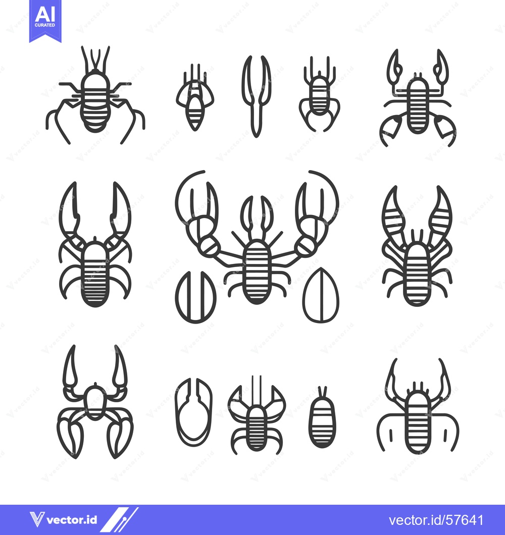 Premium Vector of Line Drawings of Lobsters in Different Stages of Life