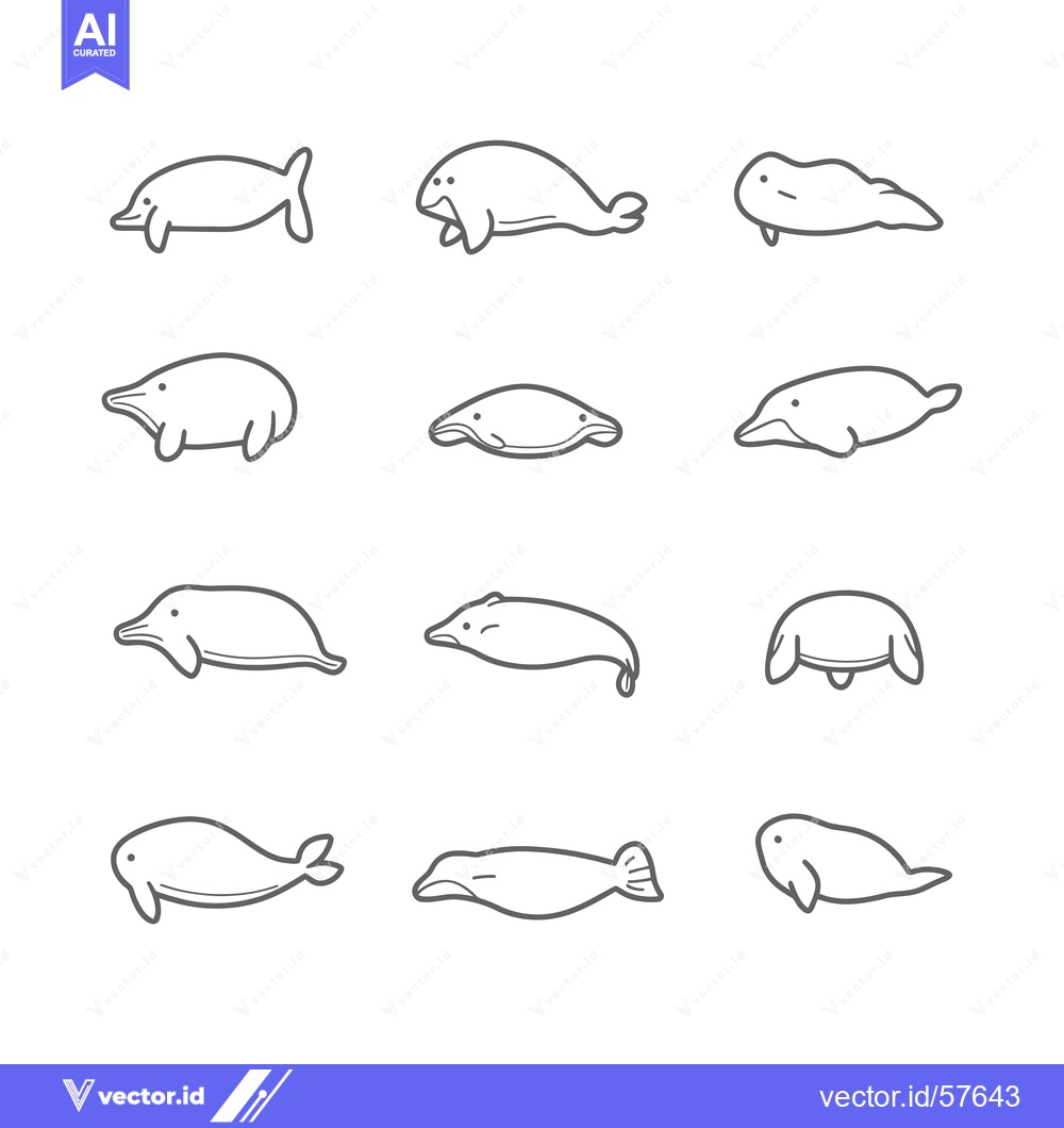 Premium Vector of Line Drawings of Manatees and Dolphins in Different Positions