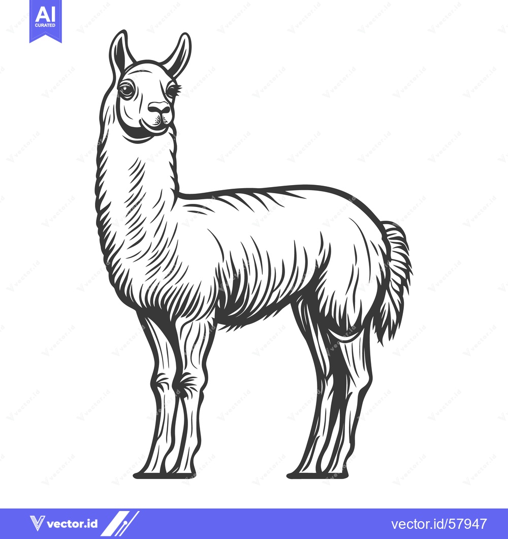 Premium Vector dari A stylized black and white illustration of a llama standing still
