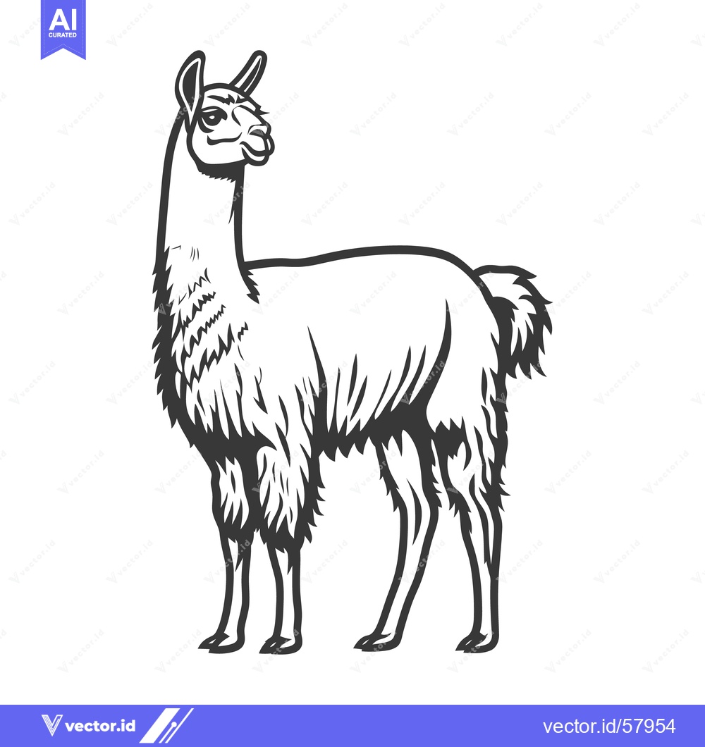 Premium Vector of A detailed illustration of a standing llama animal outline profile